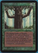 Ironroot Treefolk Alpha NM Green Common MAGIC MTG CARD (ID# 439663) ABUGames