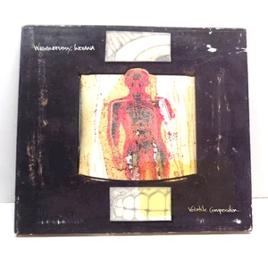 Wigglepussy Indiana - Volatile Composition CD 2001 Experimental Rock Quan - Imagen 1 de 4