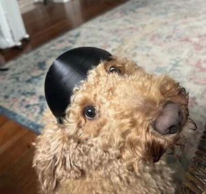 Dog Motorcycle Helmet - Picture 1 of 2