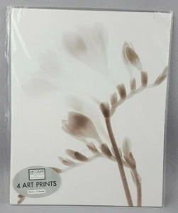 Decorate Your Space 4 Art Prints Black & White Flowers Fits 8 x 10"Poster Frame - Picture 1 of 7