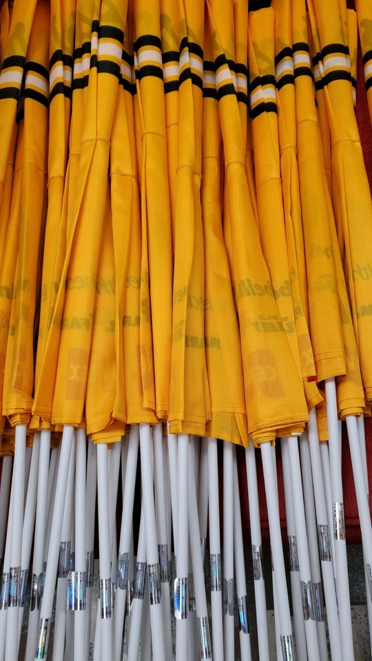 50 Green Bay Packers Brett Favre #4 banderas y 1 tarjeta coleccionable Topps autografiada Foto 1 de 4