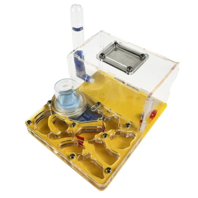DIY Acryl Mini 3D Ant Farm Ant Nest with Feeding Area Ants House Insect Villa - Image 1 of 4