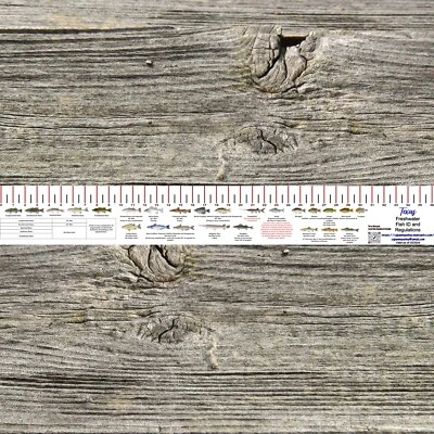 TEXAS FRESHWATER REGULATIONS 36 INCH FISH ID/REGULATIONS RULER DECAL - Image 1 of 3