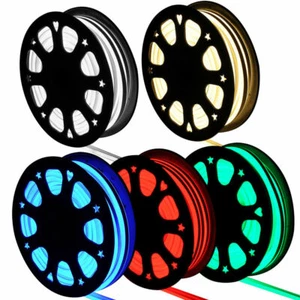 30M LED Neon Rope Light Strip 12V LED Strip Waterproof Commercial Building Decor - Picture 1 of 78