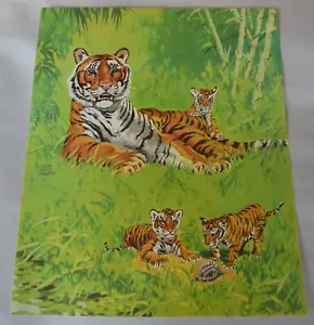 1940s Jacob Bates Abbott Color Print Lithograph Bengal Tiger Mom & Babies 12x10 - Picture 1 of 5