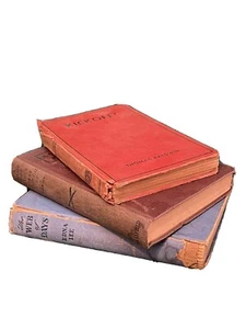 Vtg 3 Book lot 1932  Kickoff, The Web Of Days, A Campfire Girls 1st Council Fire - Imagen 1 de 12