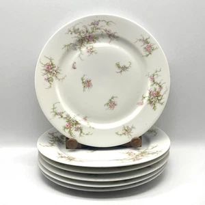 Theodore Haviland Limoges 10" Piatti Rosa Rose Schleiger 154 Set di 6 - Foto 1 di 5