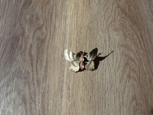 COLLECTIBLE CZECHOSLOVAKIA BUTTERFLY PIN BROOCH - Picture 1 of 2