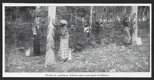 1922  --  MALAISIE . RECOLTE DU CAOUTCHOUC PRESQU ILE DE MALACCA . 3U005 - Picture 1 of 1