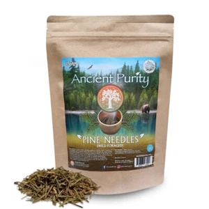 PINE NEEDLE Tea 150g | Immunity Protection | Pristine Woodland | European Origin - Picture 1 of 7