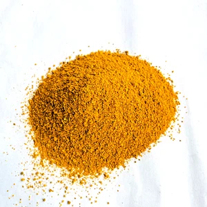 Polvo de raíz de cúrcuma premium - Cúrcuma cruda orgánica Longa especia cúrcuma tumérica - Imagen 1 de 15