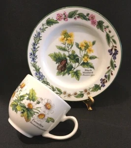 Royal Worcester Kräuter Kaffeebecher Mutterkraut & 6-1/2" Teller schwarz Senf/Lorbeerblatt - Bild 1 von 7