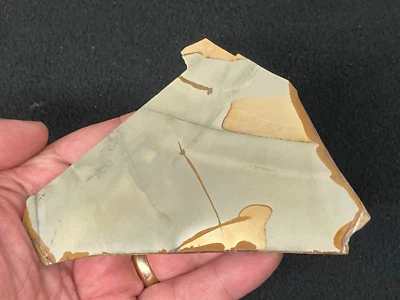 5" x 3-1/4" x 1/4"  Picture Jasper Slab for Cabbing or Display - Image 1 of 3