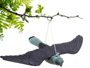 Falco Finto Spaventapasseri Dissuasore Statua Spaventa Scaccia Piccioni Uccelli - Foto 1 di 9