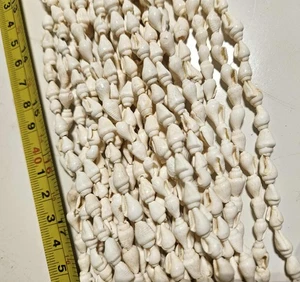 Nassa Muschelstränge 12 Schlaufen - Bild 1 von 5