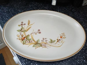 MARKS AND SPENCER HARVEST LARGE OVAL SERVING PLATTER - Picture 1 of 3