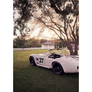 Shelby Cobra #002 Limited Edition High Resolution Automotive Art Poster - Picture 1 of 12