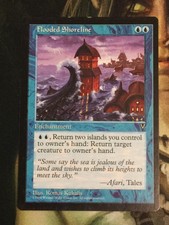 MTG 1x Flooded Shoreline x1 - Visions *LP/MP* English
