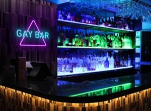 GAY BAR Neon Sign Gay bar el neon sign LED Night Light for Bar Living Room Decor - Picture 1 of 4