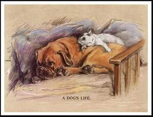 BOXER UND KATZE VINTAGE STIL A4 GRÖSSE HUND KUNSTDRUCK POSTER "A DOGS LIFE" - Bild 1 von 1