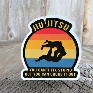 Jiu Jitsu Funny Sticker Decal Humor Can't Fix Stupid Can Choke It Out Full Color - Picture 1 of 7