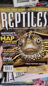 REPTILES November 2006 Magazine W/ Poster - Picture 1 of 1