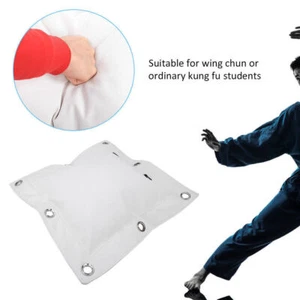 Wing Chun Wall Canvas Punch Empty Sand Bag Target with Zipper for Boxing Muay - Picture 1 of 20