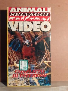 Conflitti di interessi - vhs, animali selvaggi video, hobby & work - Picture 1 of 1