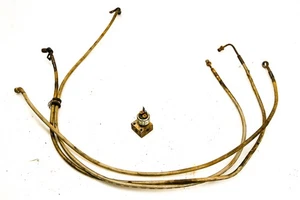 09 Polaris RZR 800 S EFI Front Brake Lines - Picture 1 of 7