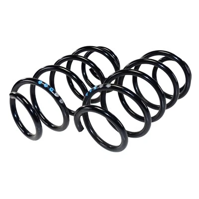 2X Molle Anteriori VW Polo 9N 9N3 Set Molle Schlechtwege 3X Blu 2X Argento - Immagine 1 di 4