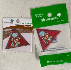 Girl Scouts Brownie Home Scientist Badge Earned Award - Picture 1 of 1