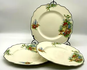 MYOTT STAFFORDSHIRE ''LYNTON COTTAGE GARDEN'' PATTERN 3 PLATES 1940' - Picture 1 of 11