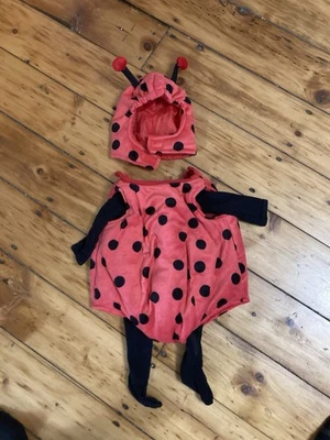 Dress Up America Baby Ladybug Costume with 1 piece O2 organic black Garment EUC - Image 1 of 4
