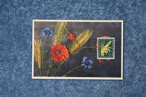 Postal 1954 con FDC - Imagen 1 de 2