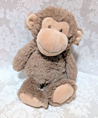 Brinquedo de pelúcia para bebê Carters 11" musical macaco You Are My Sunshine Wind Up em movimento - Imagem 1 de 4