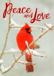 Tarjetas de Navidad Peace & Love Cardenal Cardenal Cardenal Macho Rojo Rama de Nieve - Juego de 7 - Imagen 1 de 3