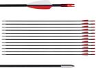 31&quot; Training Arrows-Archery Practice Target Arrows with Durable Shaft Blunt Tip