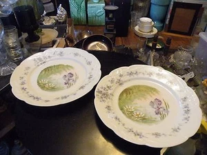 Pair of Antique Bavarian Art Nouveau B.R.C. Porcelain Plates PENADE Crown Mark - Picture 1 of 10