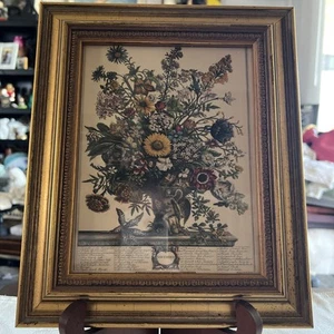 Vintage 60er November Kensington Blumen Kunstdruck gerahmt antik botanisch 11 Zoll - Bild 1 von 4