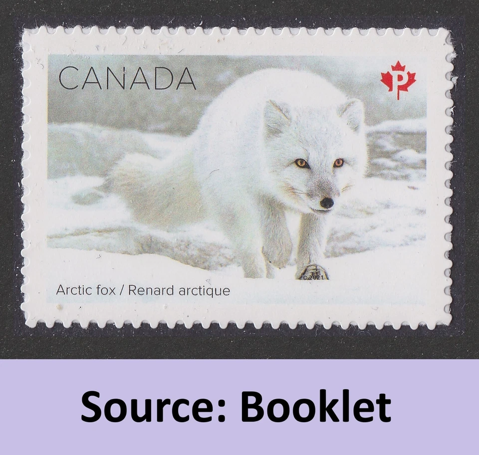 Canada 3279 Snow Mammals Arctic Fox P single MNH 2021 - Image 1 of 1