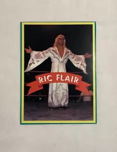 RIC FLAIR RC 1982 REVISTA BIG WRESTLER PEGATINA NOVATO - Imagen 1 de 4