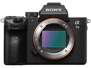 Sony Alpha 7 III, ILCE-7M3, 24.2 MP, CMOS Exmor 35mm, Bionz X, ISO 100 - 51200 - Imagen 1 de 8