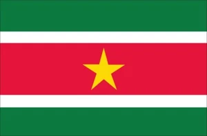 flaggenmeer®  Flagge Surinam 80 g/m² - Bild 1 von 4