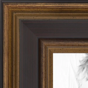 ArtToFrames 1.25" Custom Poster Frame Gold w/ Burgundy Wood 4758 Large - Picture 1 of 7