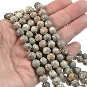 Unique 8mm Gray Fossil Jasper, Full Strand Maifan Stone Earthy Jewelry Making - Picture 1 of 3
