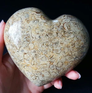 RARE 410.9G Marine Jasper Ecological Crystal Heart Sphere Madagascar YQ255 - Picture 1 of 12