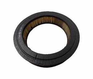 Hastings Air Filter AF-287 BRAND NEW - Picture 1 of 1