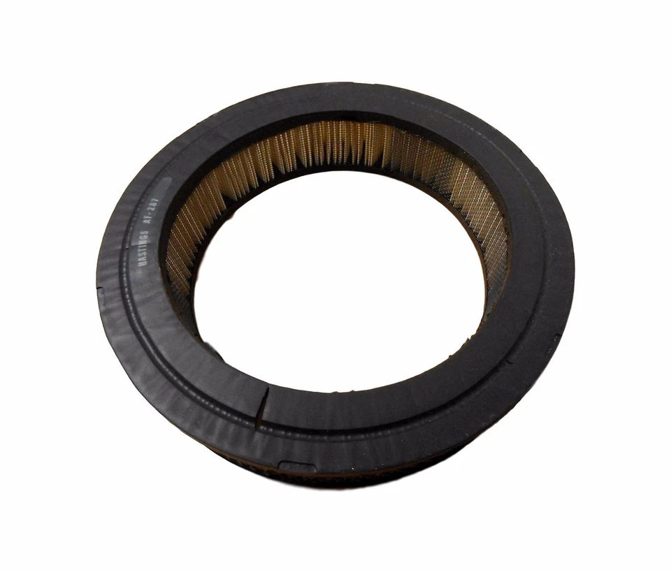 Hastings Air Filter AF-287 BRAND NEW - Image 1 of 1