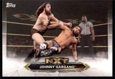 2020 WWE NXT Roster #NXT-24 Johnny Gargano