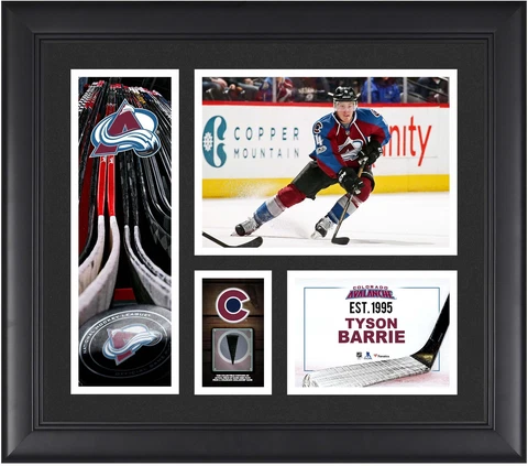 Tyson Barrie Avalanche Framed 15x17 Collage & Piece of G-U Puck Cover